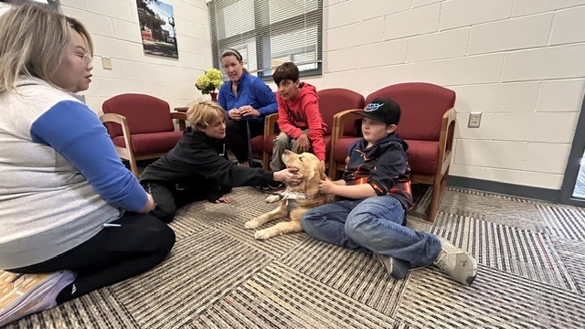 Therapy Dog 