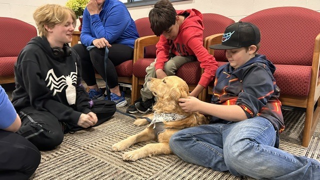 Therapy Dog 