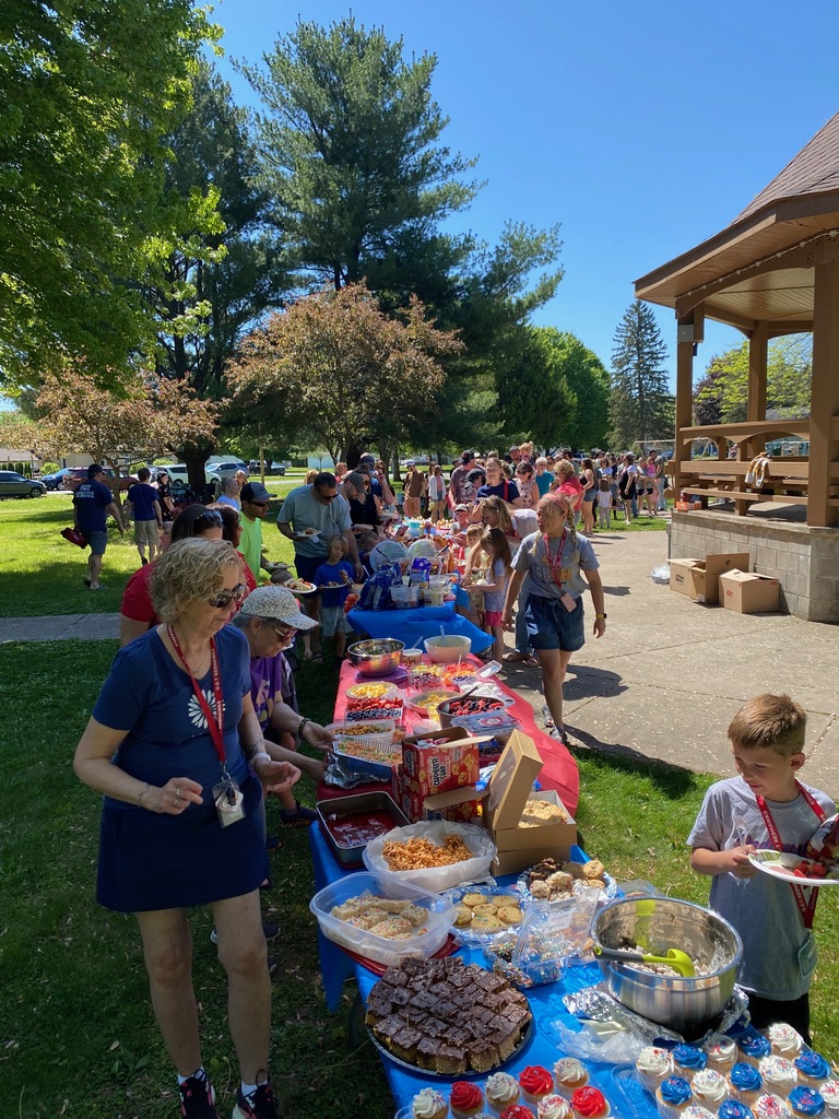 4k picnic
