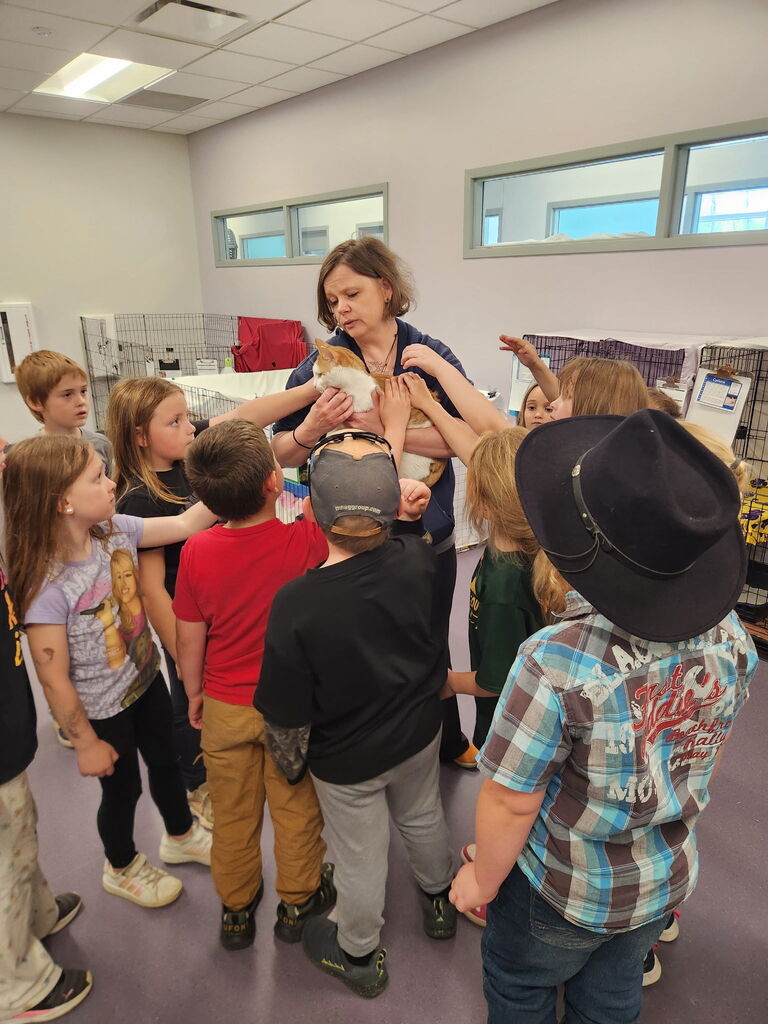 Students learning about animals
