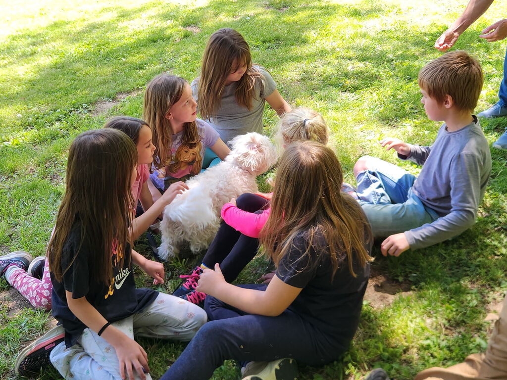 Students at the Humane Society