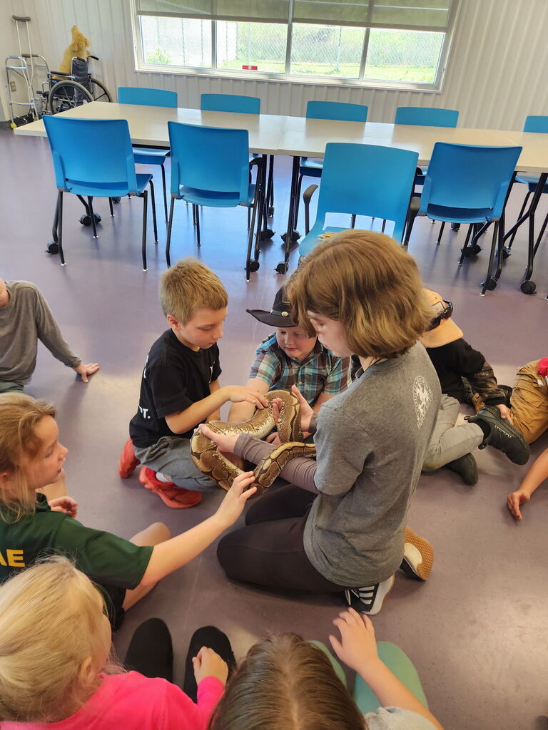Students learning about animals