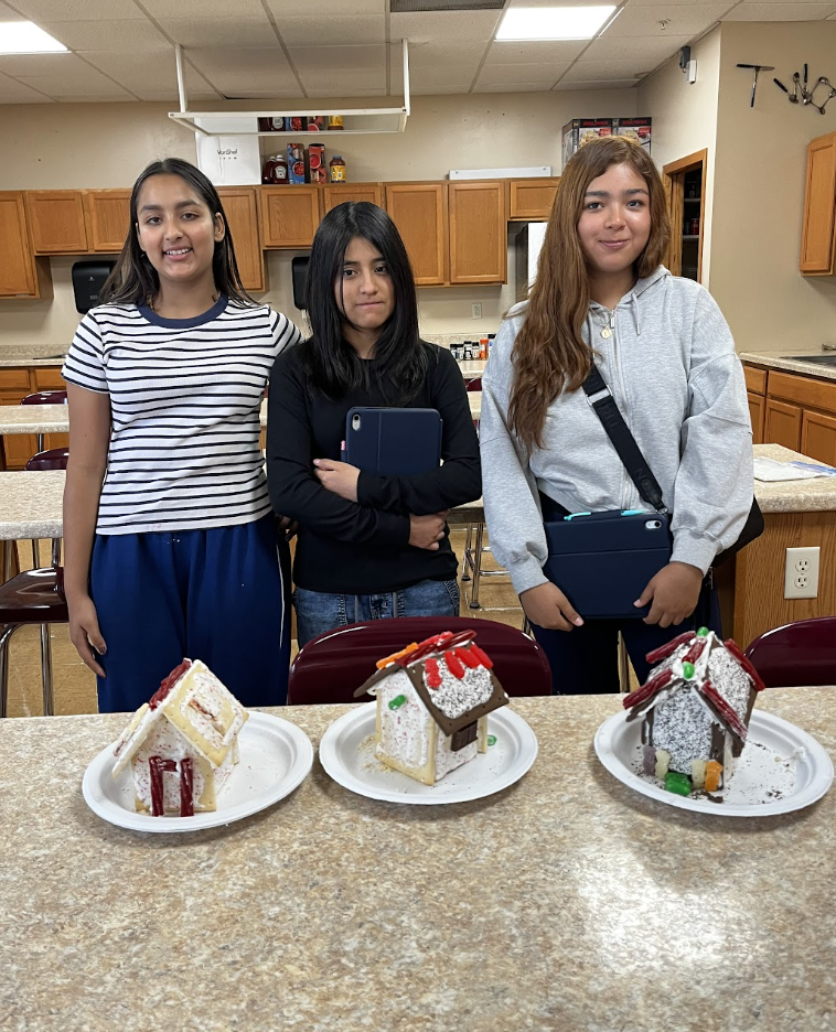 The final Poptart houses!
