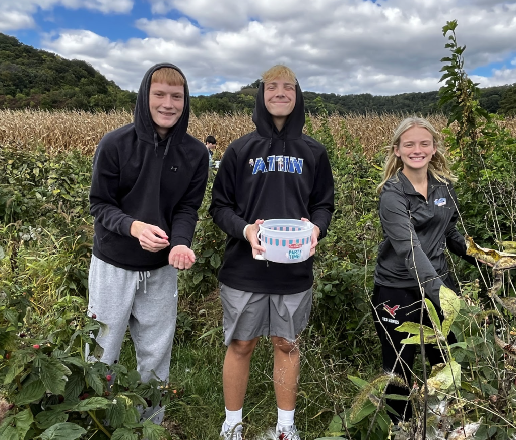 Students pick fresh raspberries. 