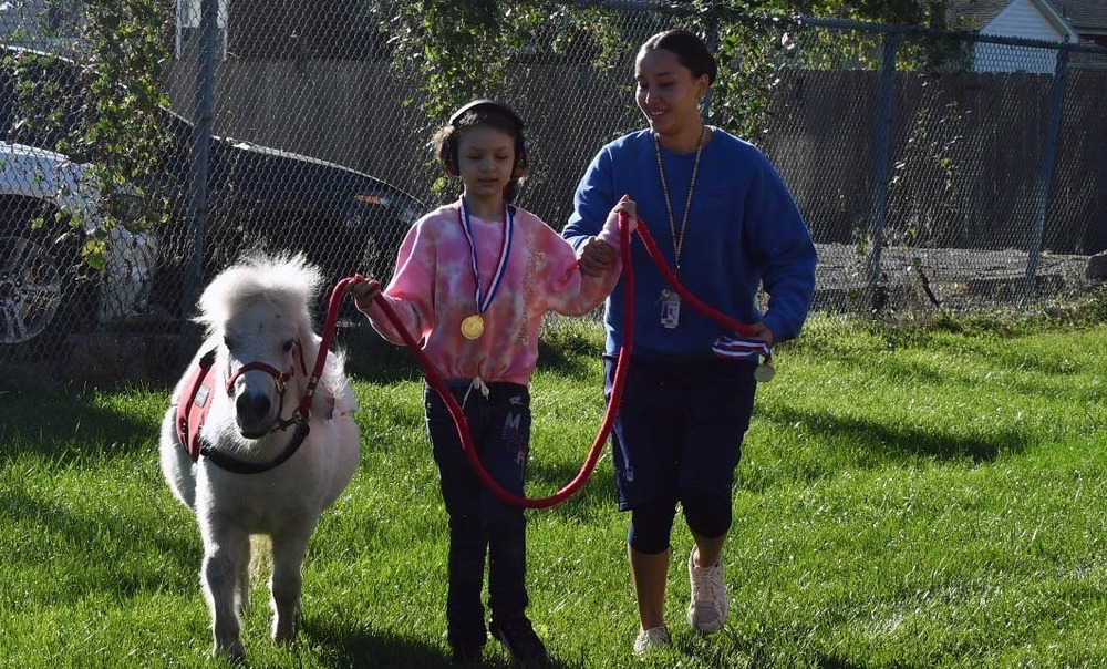 Miniature Horse, Student and Staff member