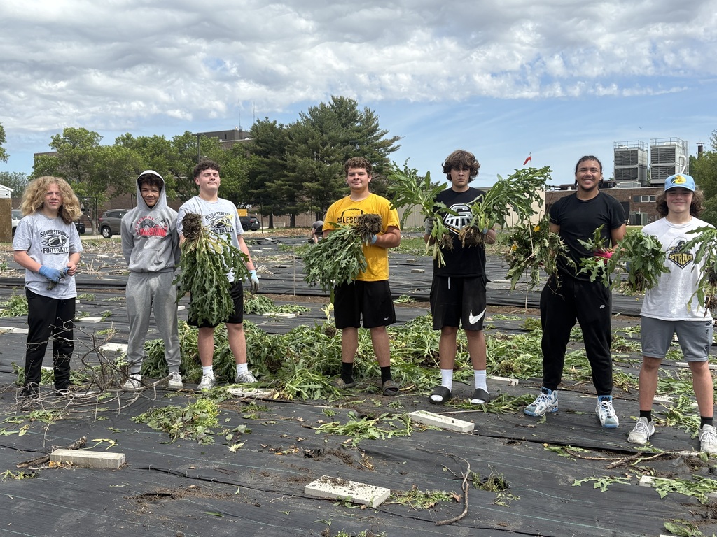 OSF Community Garden