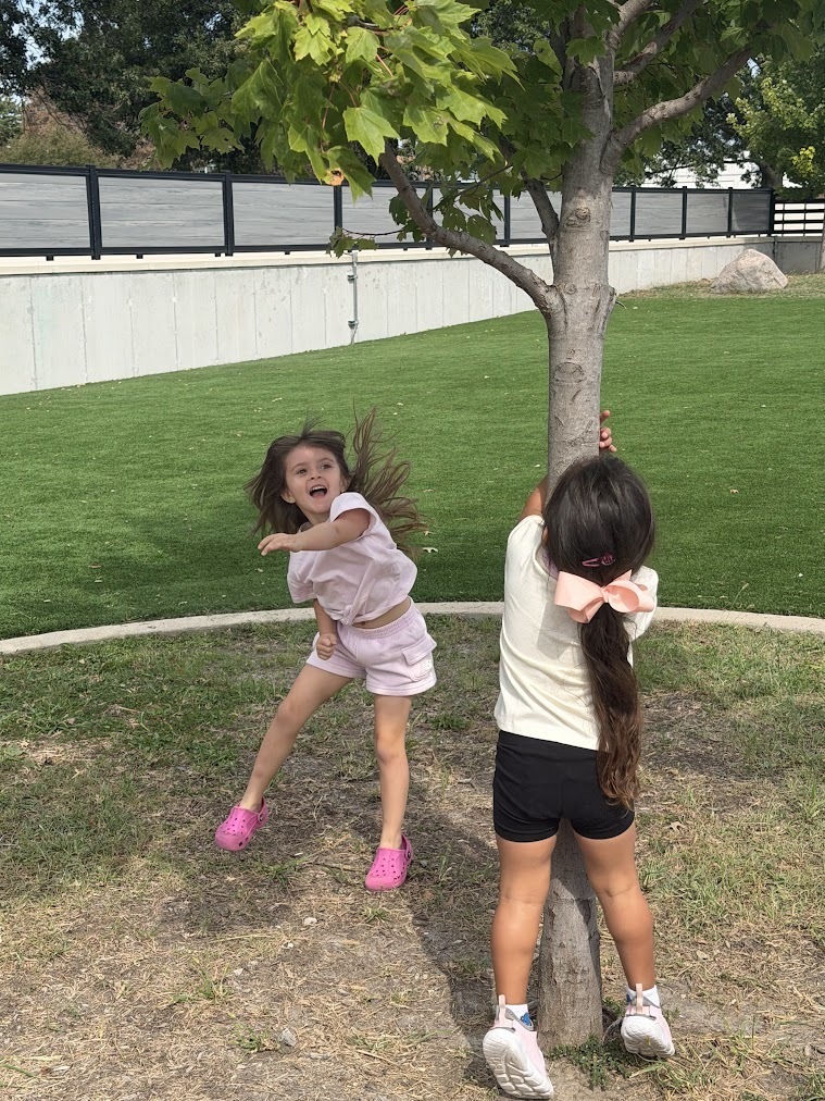 Students jumping around a tree 
