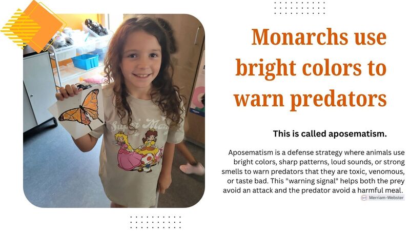 Magnificent Monarchs
