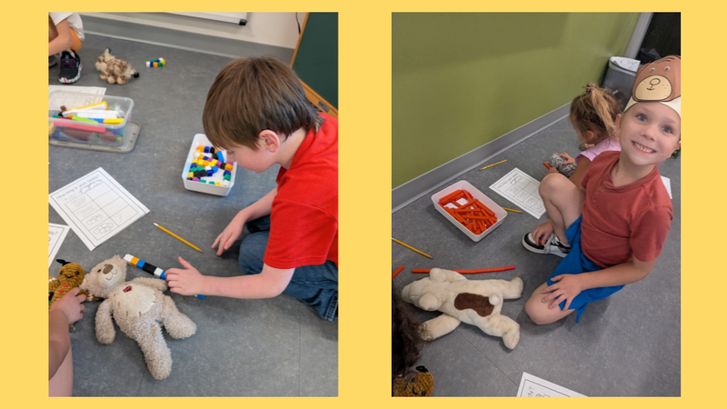 Teddy Bear Picnic
