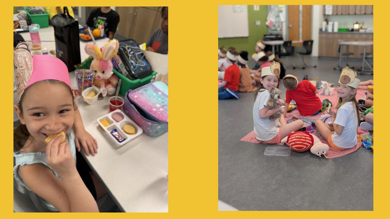 Teddy Bear Picnic