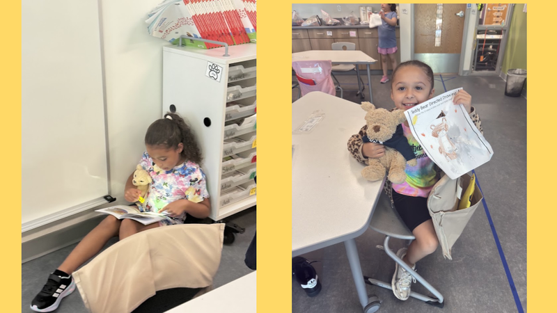 Teddy Bear Picnic