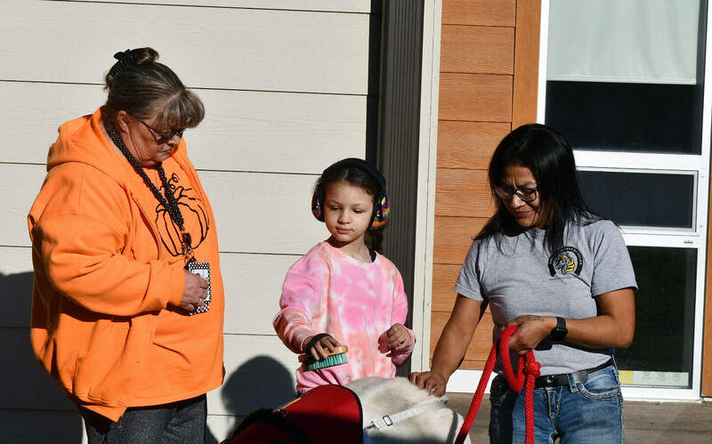 Miniature Horse, Student and Staff Member