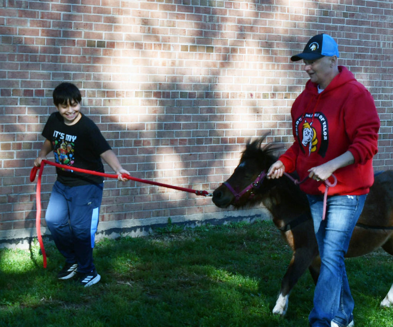 Miniature Horse, Student and Staff Member