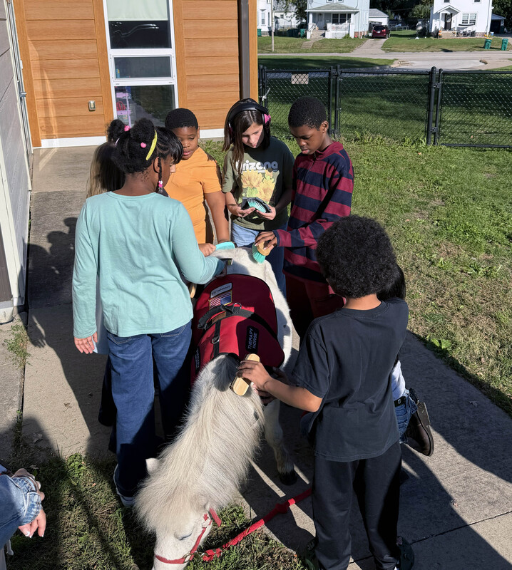 Miniature Horse, Student and Staff Member