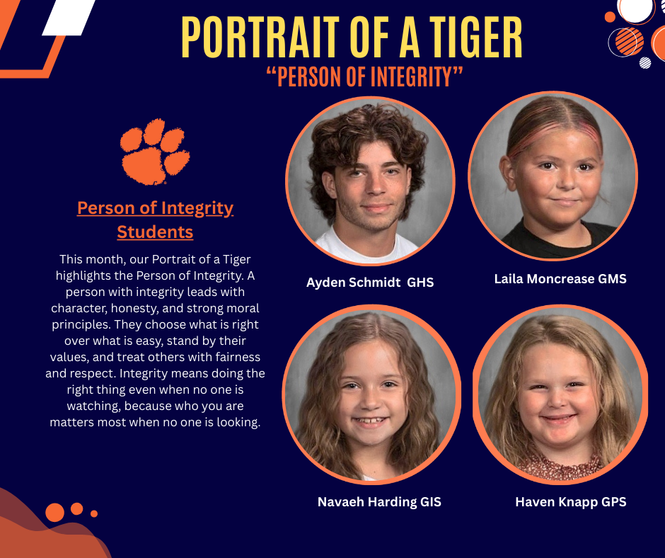 Portrait of a Tiger Feb