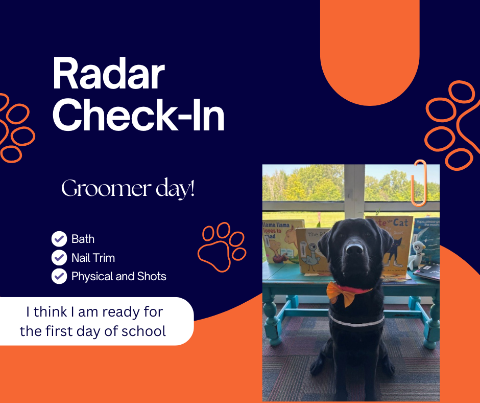 Radar