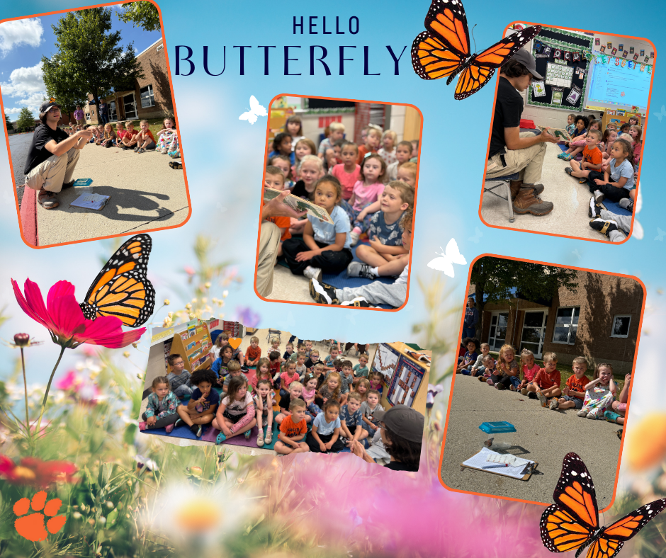 Butterfly preK
