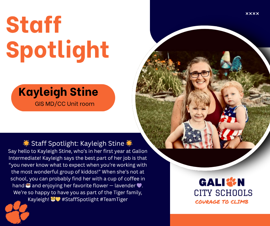 Spotlight Stine