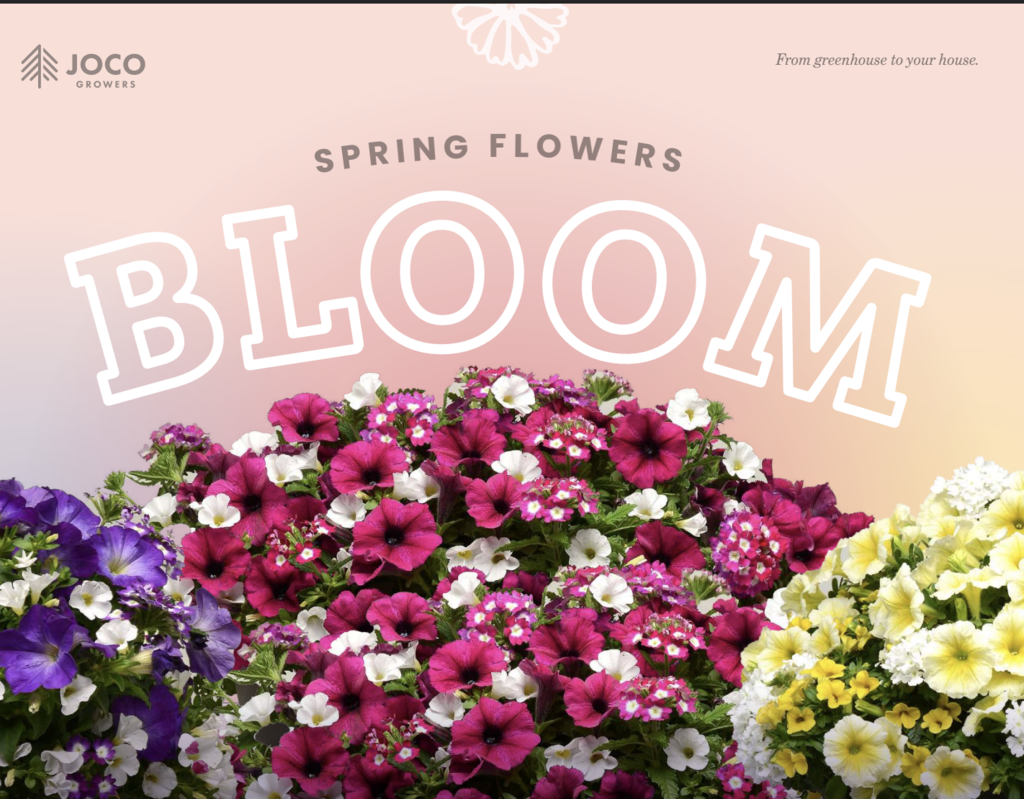 9th Grade Fundraiser