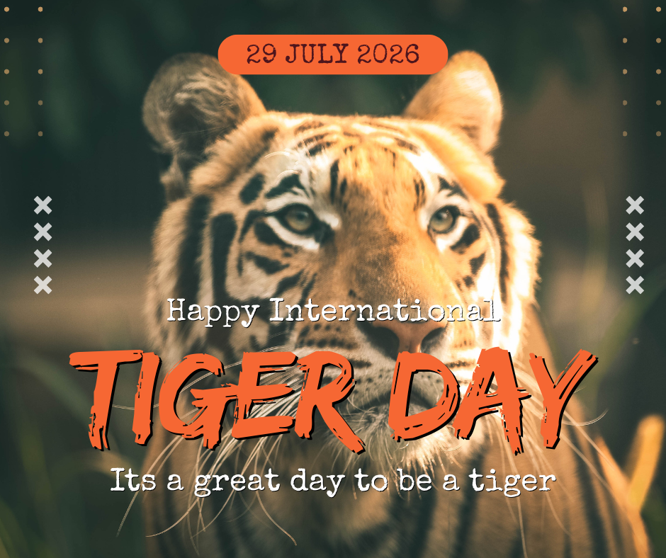 Tiger Day