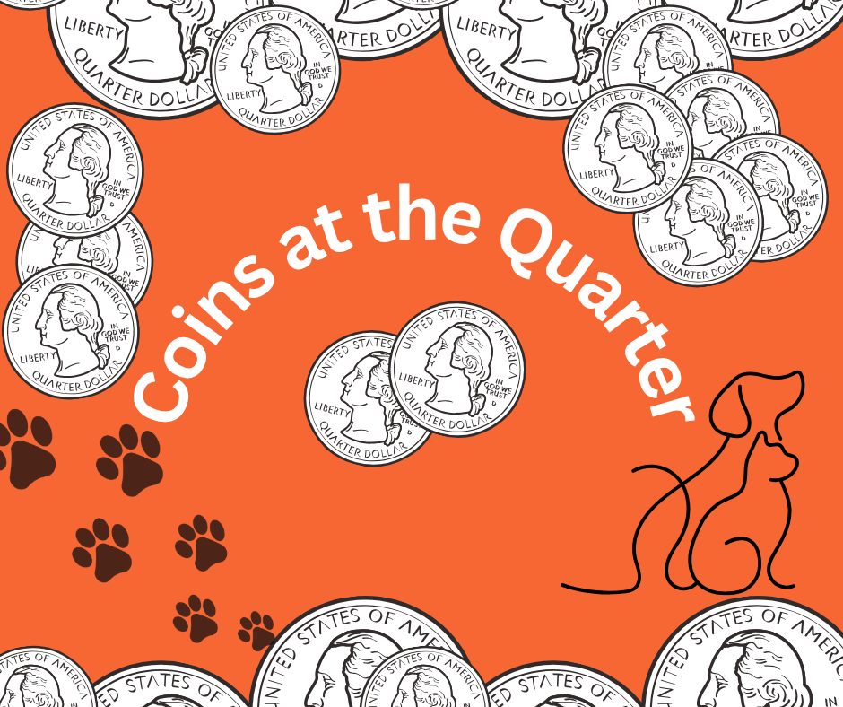 Coins at the Quarter