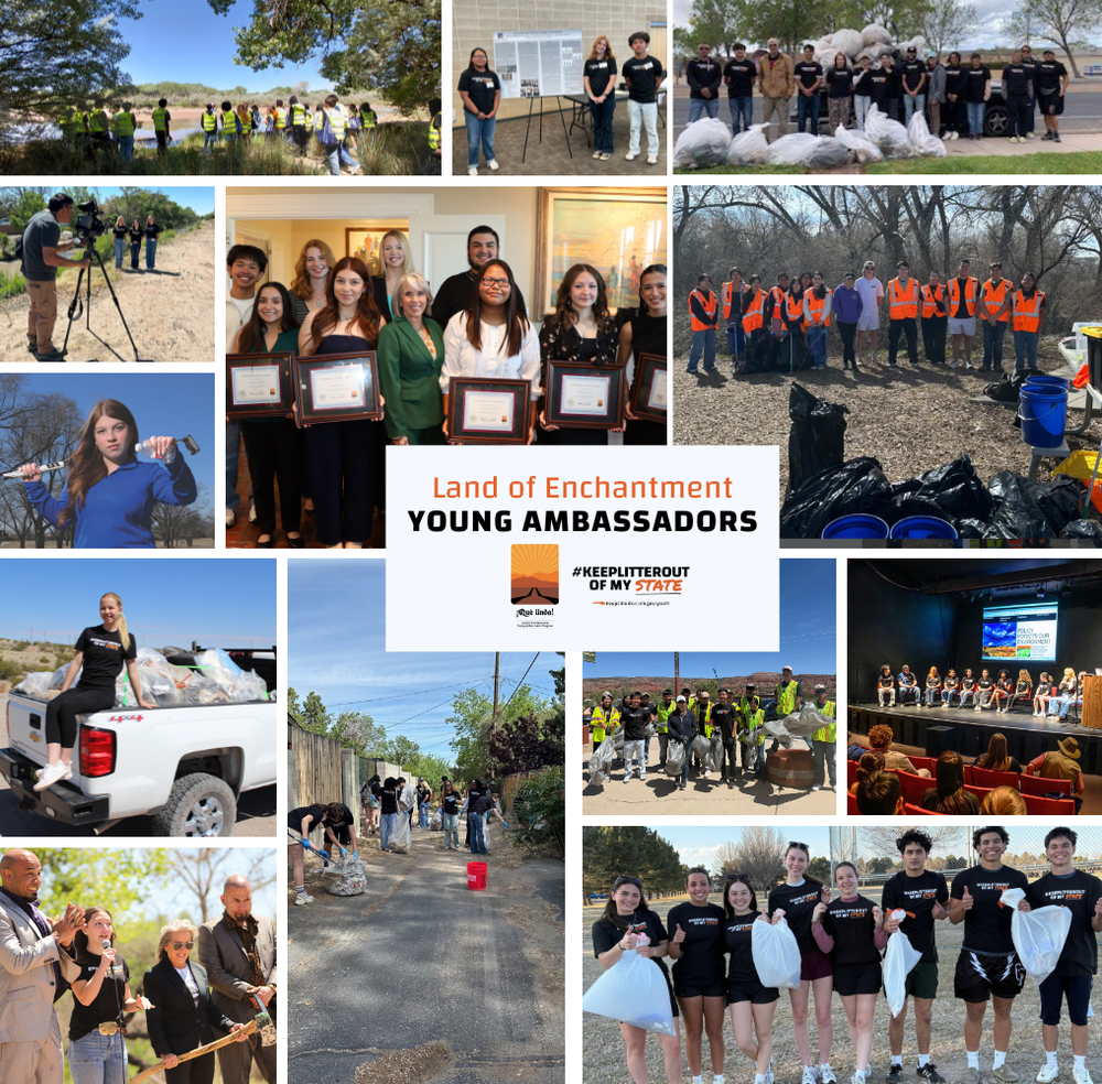 young ambassadors
