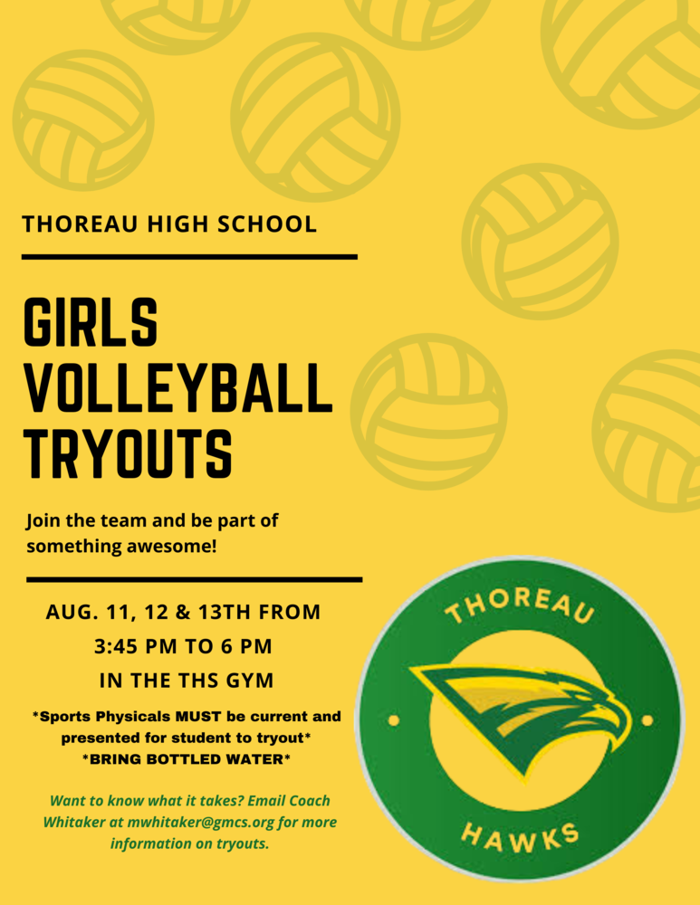 Yellow background, green lettering, hawks logo green. faded vollyeball 