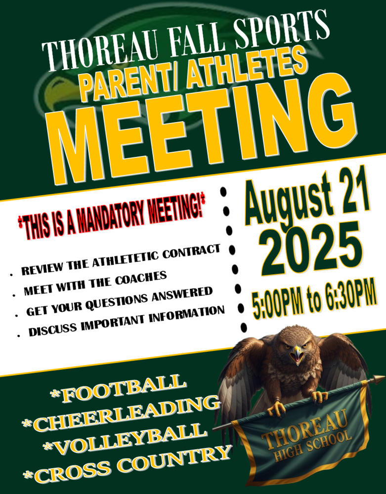 Yellow background, green lettering, hawks logo green. faded vollyeball 