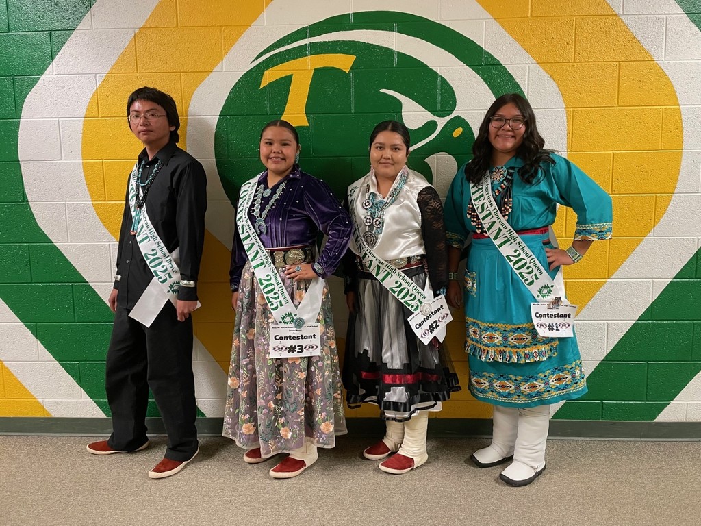 Native American background, Navajo designs,  green, yellow and white wall