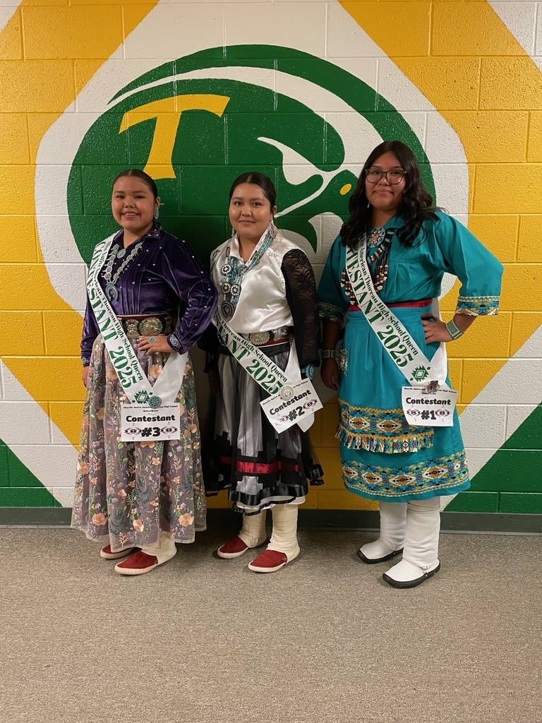 Native American background, Navajo designs,  green, yellow and white wall