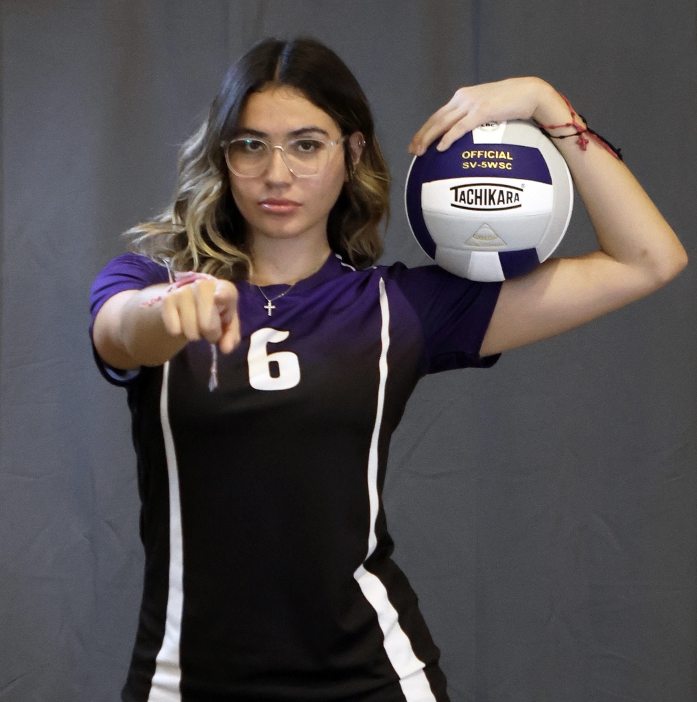 BS volleyball pic