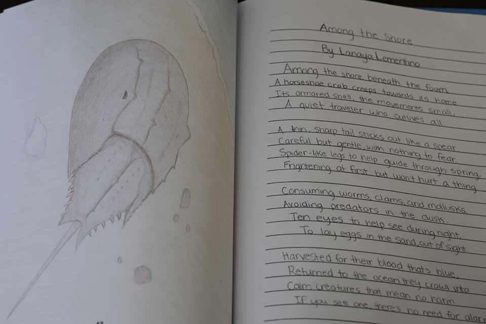 Student art work to the left and their poem to the right called among the shore