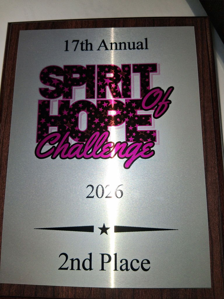 Silver plaque with  pink and black