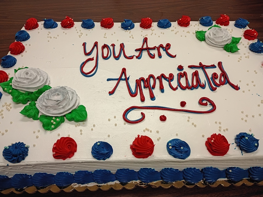 A rectangular cake with white icing and blue and red flowers, displaying the words "you are appreciated".