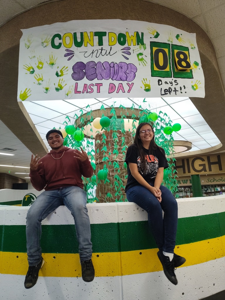 Two people sitting on a wall, one smiling and making a peace sign. A banner reads "Countdown until Senior Last Day."