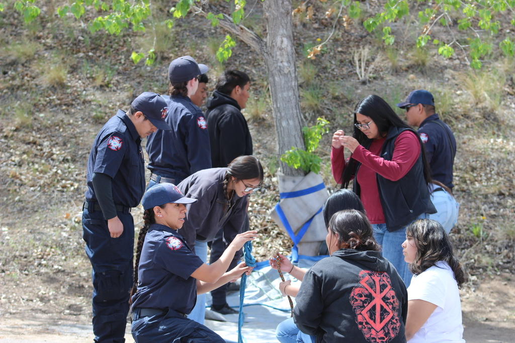 A group of individuals, some in uniform, assist a person planting a tree in a grassy, hilly area.