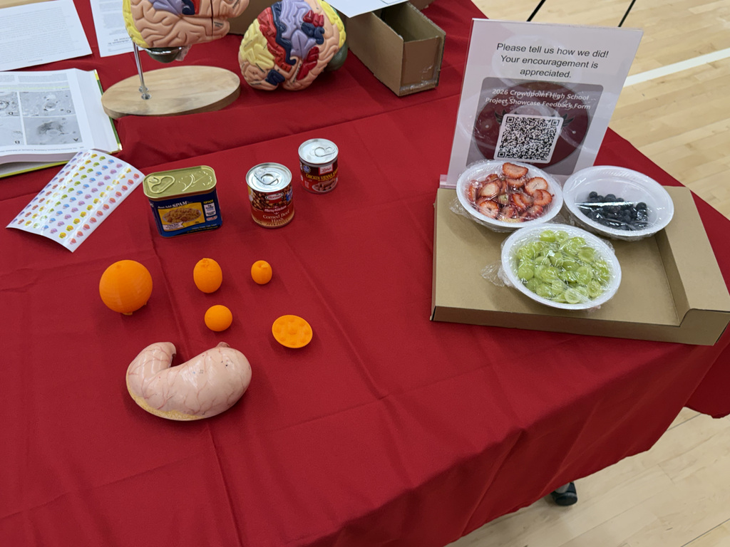 student presentation