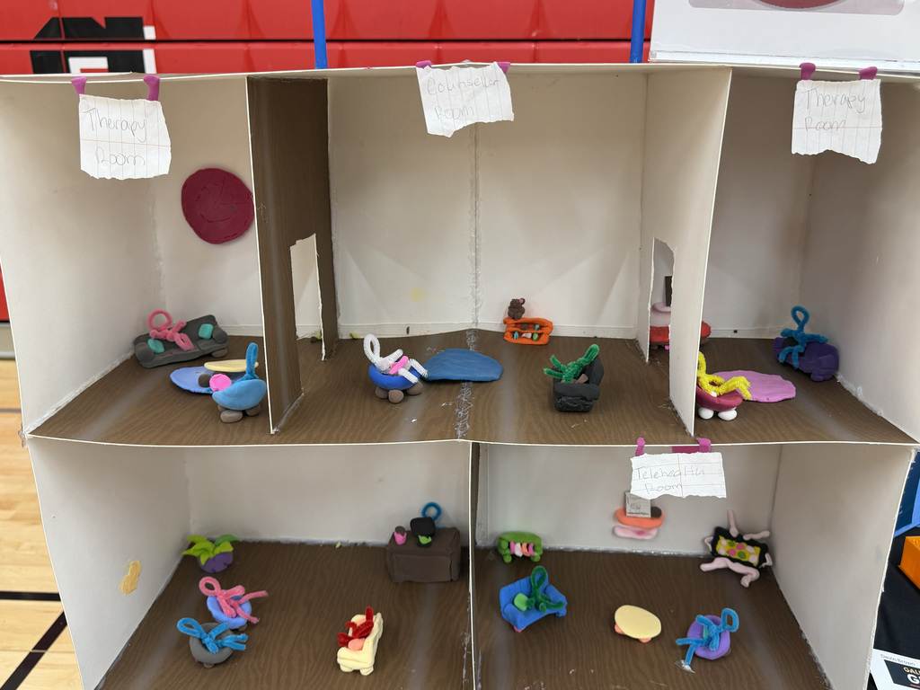 student presentation