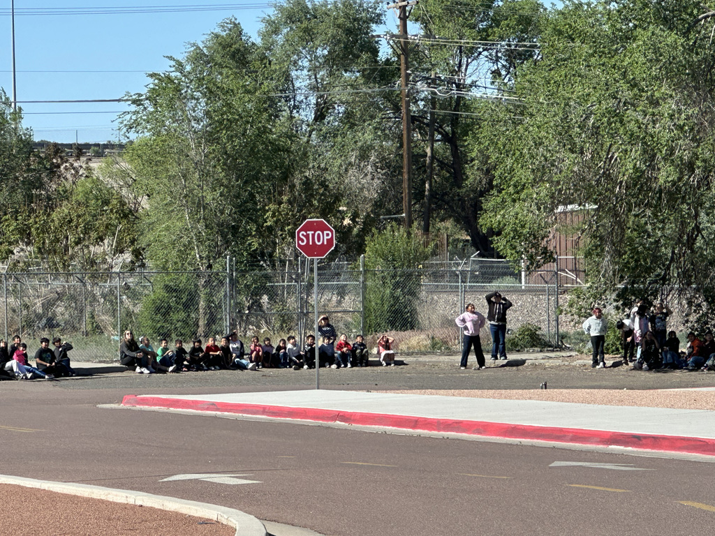 People sit or stand near a stop sign on the edge of a road. Trees and a fence are behind them.