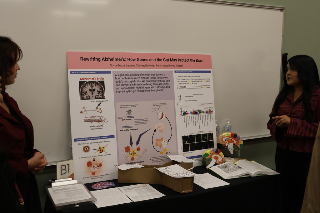 Two women at a table, one looking at a poster about Alzheimer's, brain diagrams, and other items.