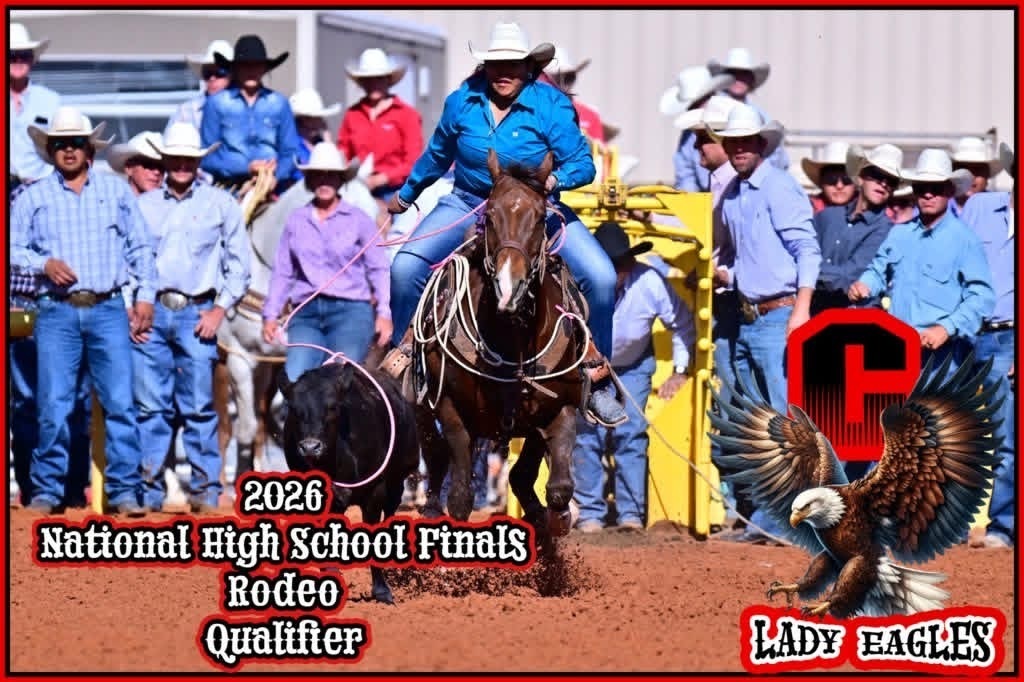 A horse rider in a blue jacket and white hat rides a brown horse near a calf.