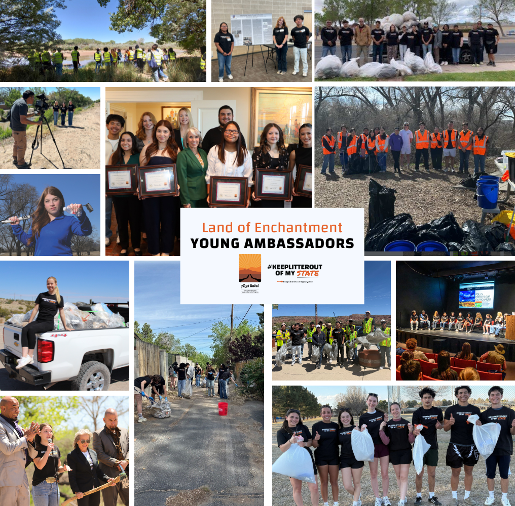young ambassadors
