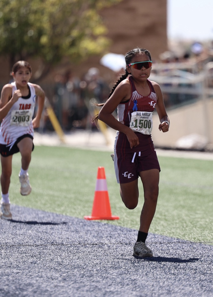 XC runner