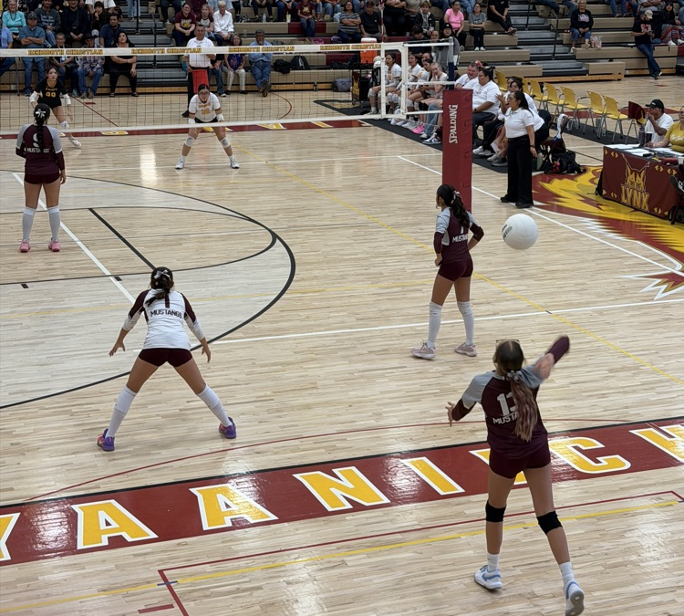 Rehoboth Volleyball Tournament