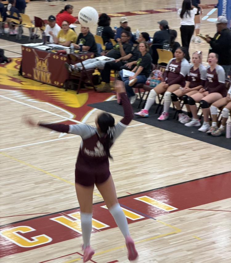 Rehoboth Volleyball Tournament