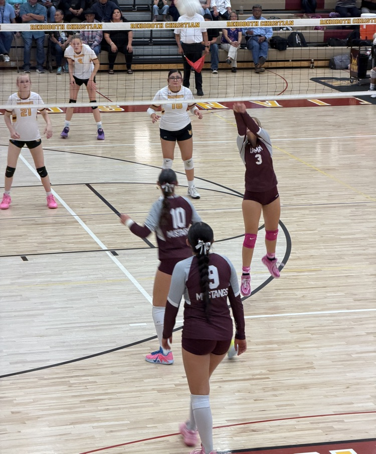 Rehoboth Volleyball Tournament
