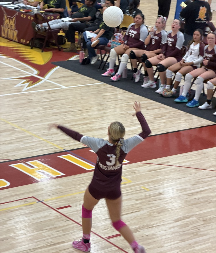 Rehoboth Volleyball Tournament