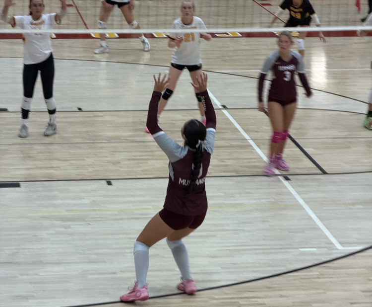 Rehoboth Volleyball Tournament