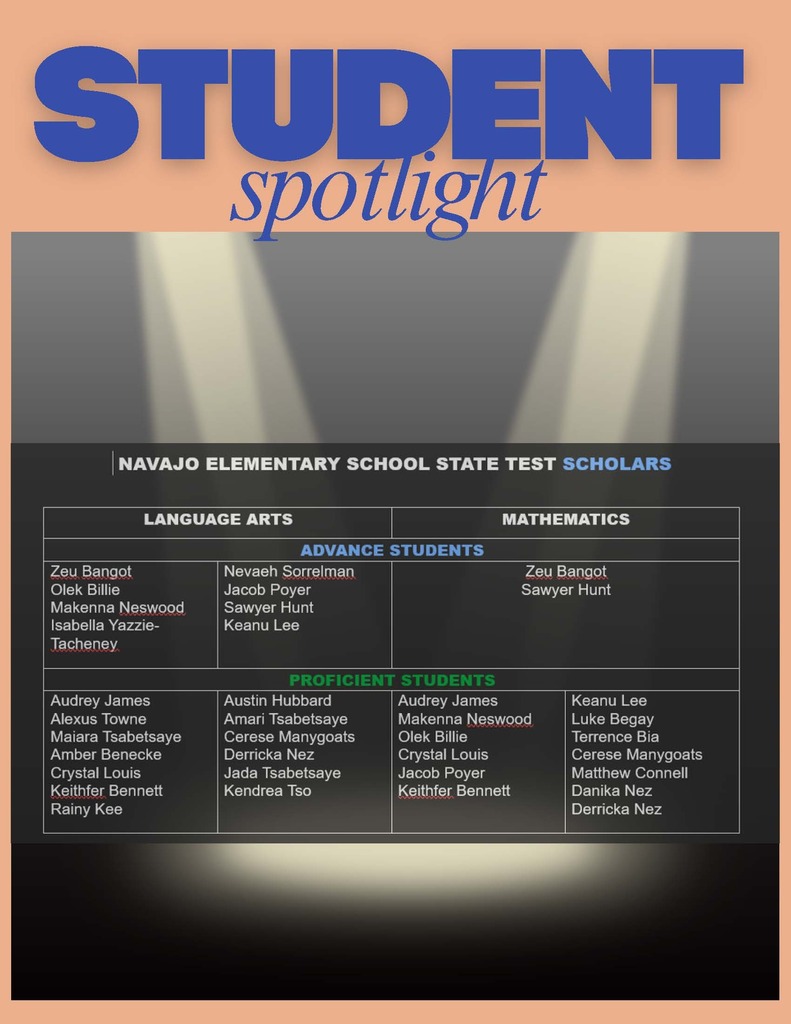 NVE Student Spotlight Flyer