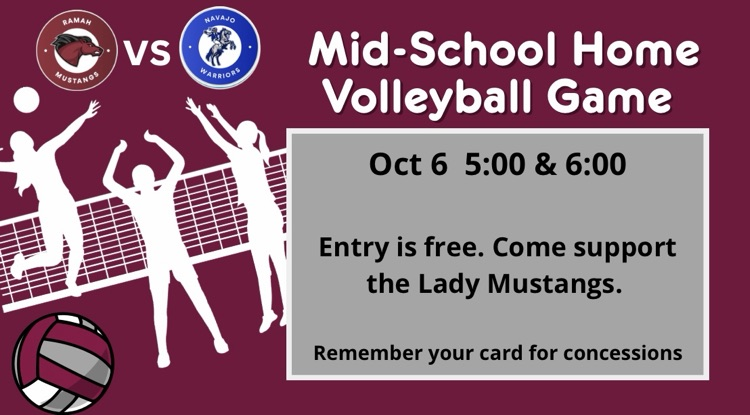 mid school volleyball
